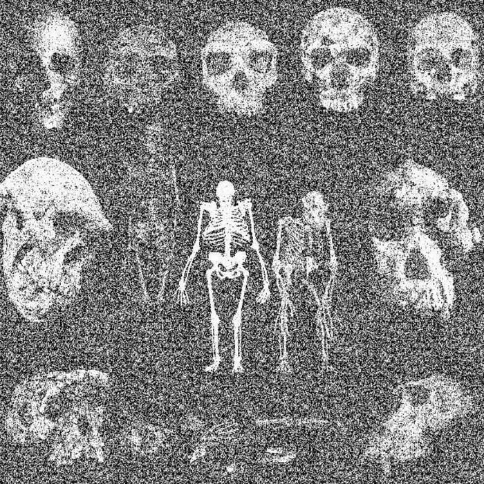 Mammalian
