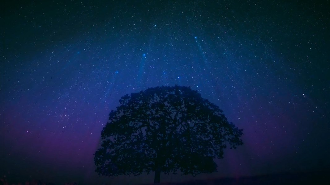 Curse of Stars