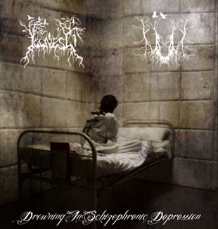 Drowning in Schizophrenic Depression