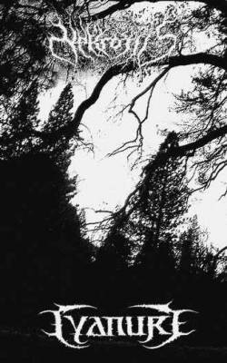 Cyanure / Nekrotiis