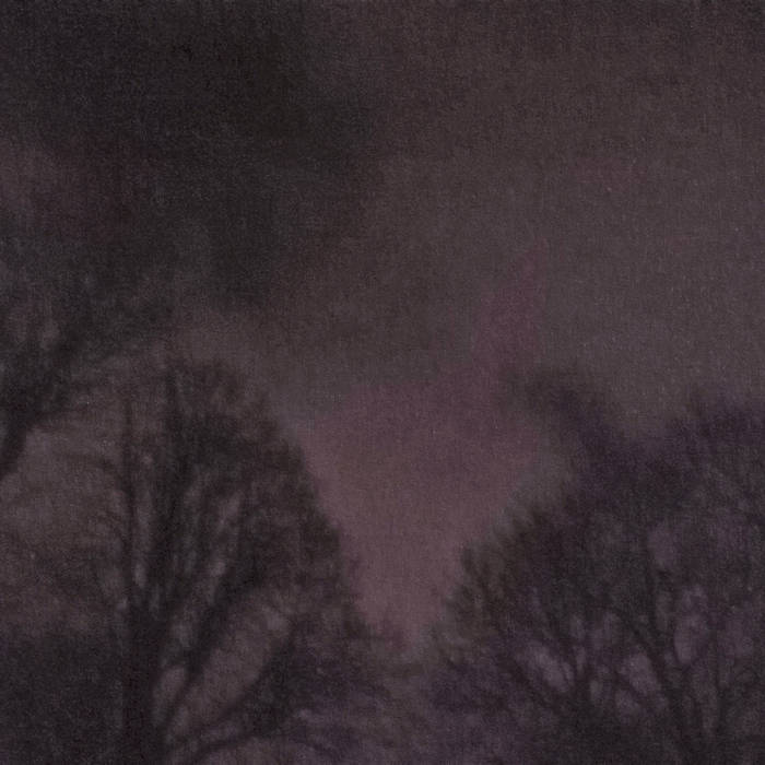 Desolate Forest