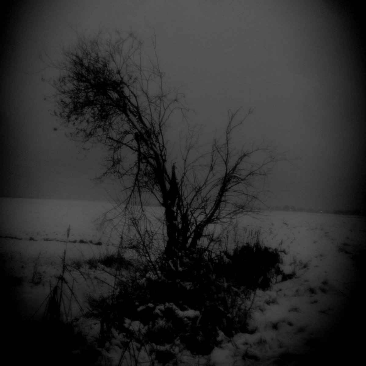 Winter's Tale