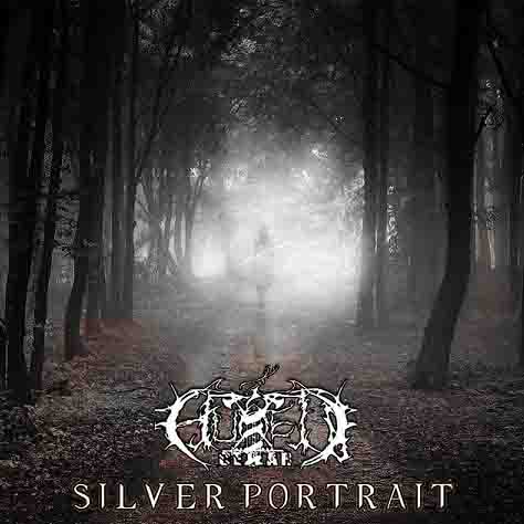 Silver Portrait