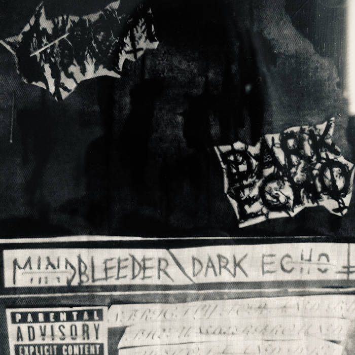 Dark Echo vs. Mindbleeder