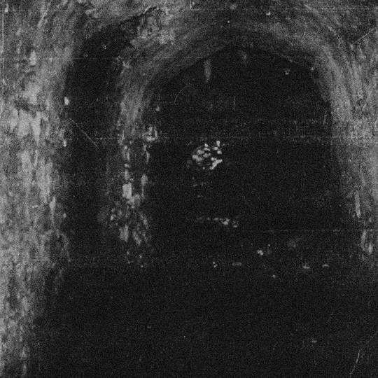 Torva Cædis