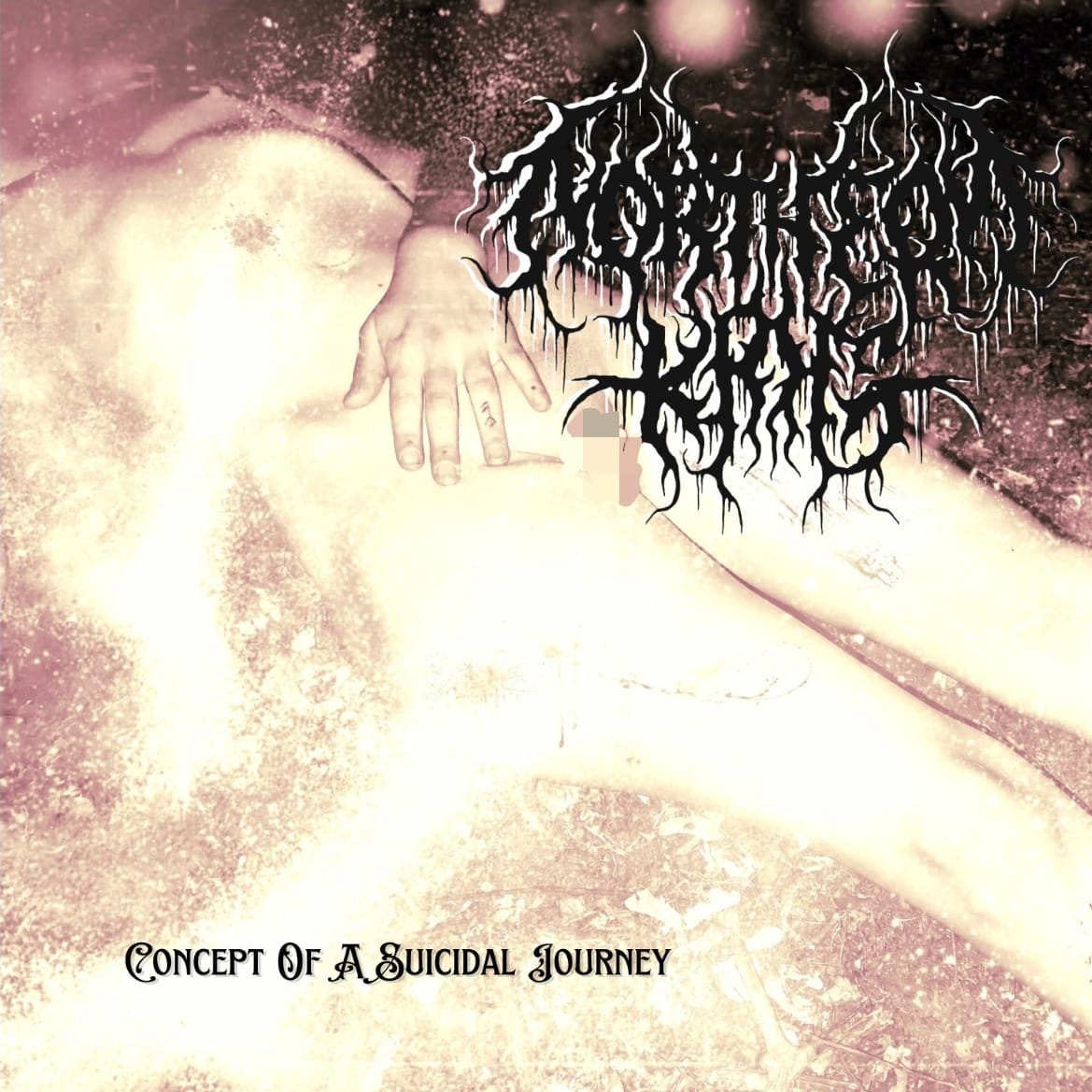 Concept of a Suicidal Journey