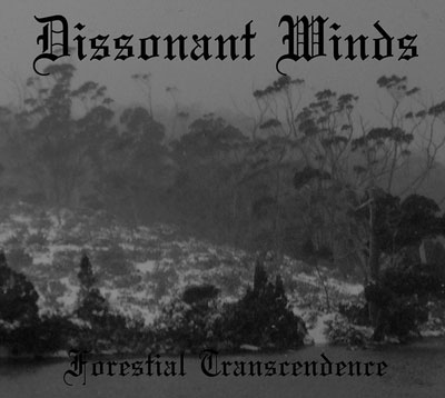 Forestial Transcendence