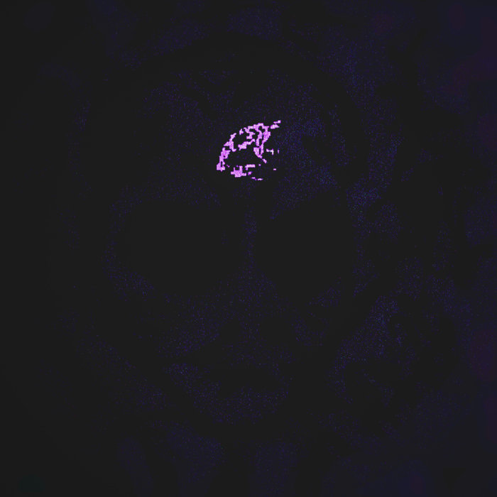 Encounter