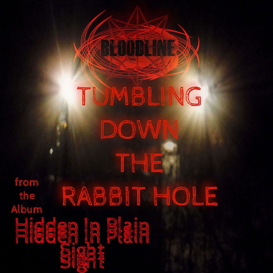 Tumbling Down the Rabbit Hole