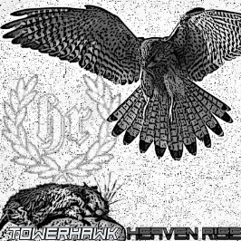 Towerhawk