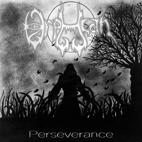 Perseverance