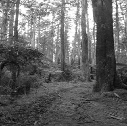 On Untrodden Paths