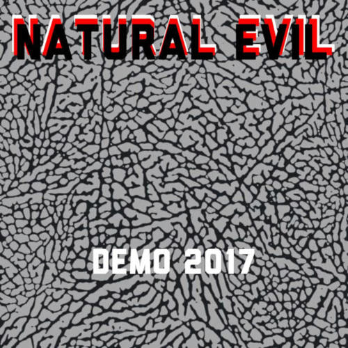 Demo 2017
