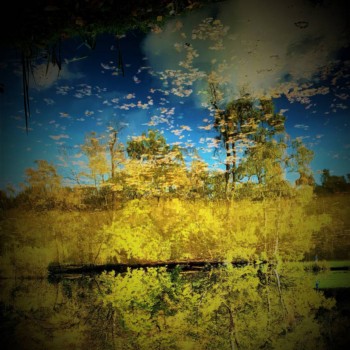 Out of the Grey Room and into the Colorful World Beyond...