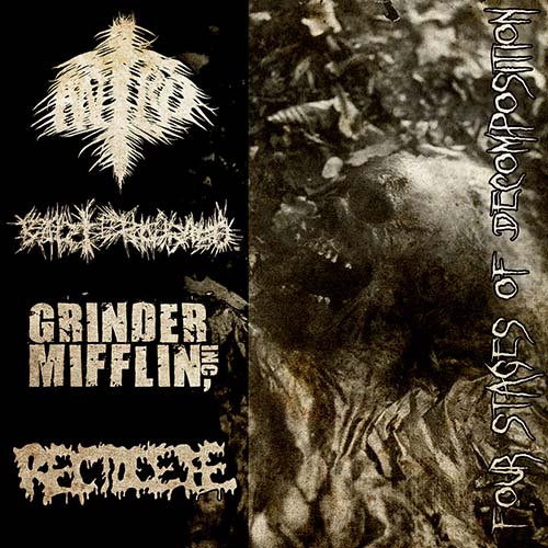 Four Stages of Decomposition