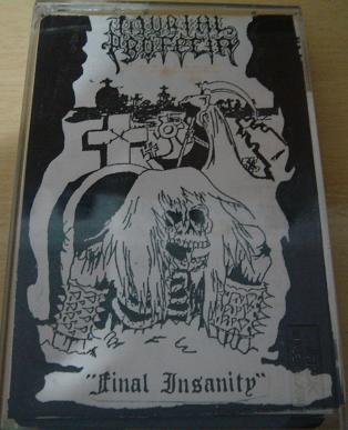 Final Insanity