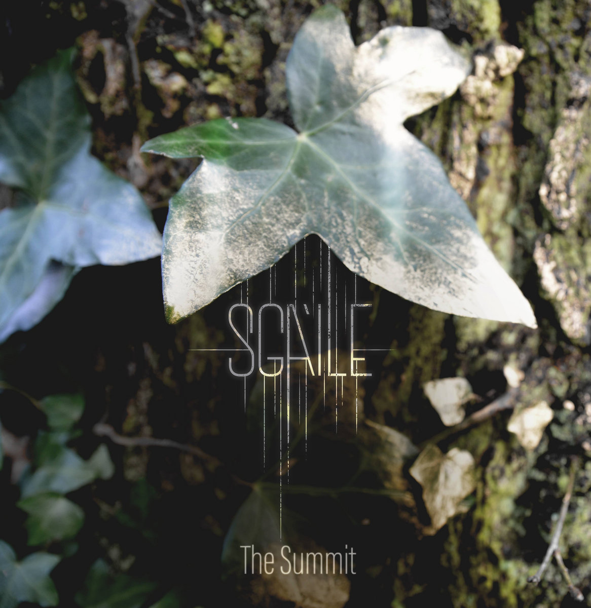The Summit