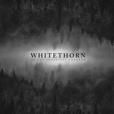 Whitethorn