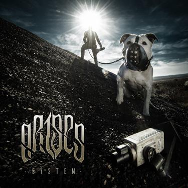 System