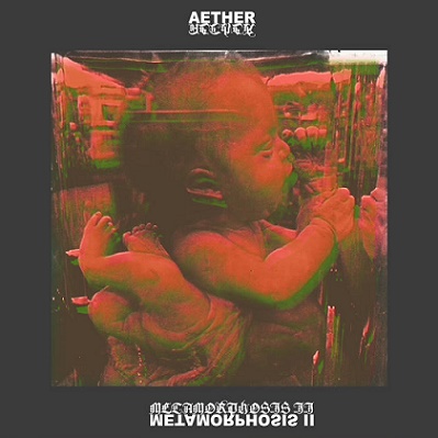 Metamorphosis II