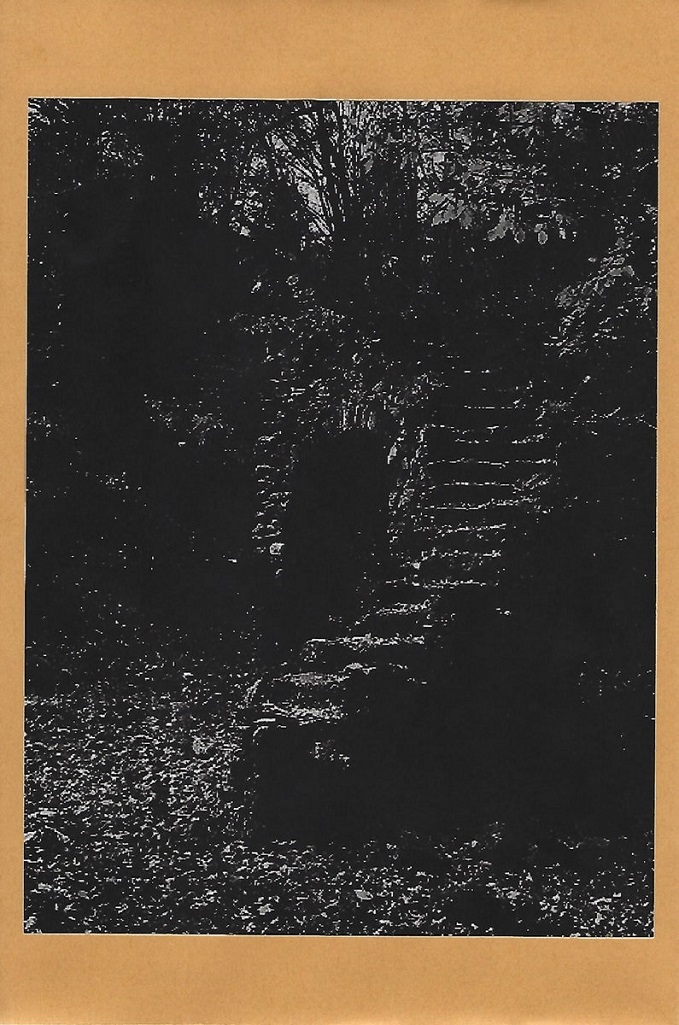 Moon Cult