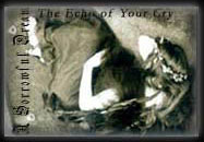 The Echo of Your Cry