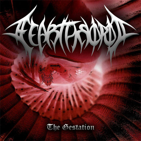 The Gestation
