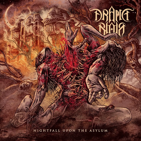 Nightfall upon the Asylum