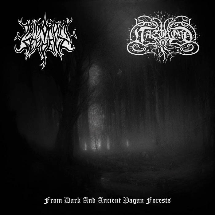 From Dark and Ancient Pagan Forests