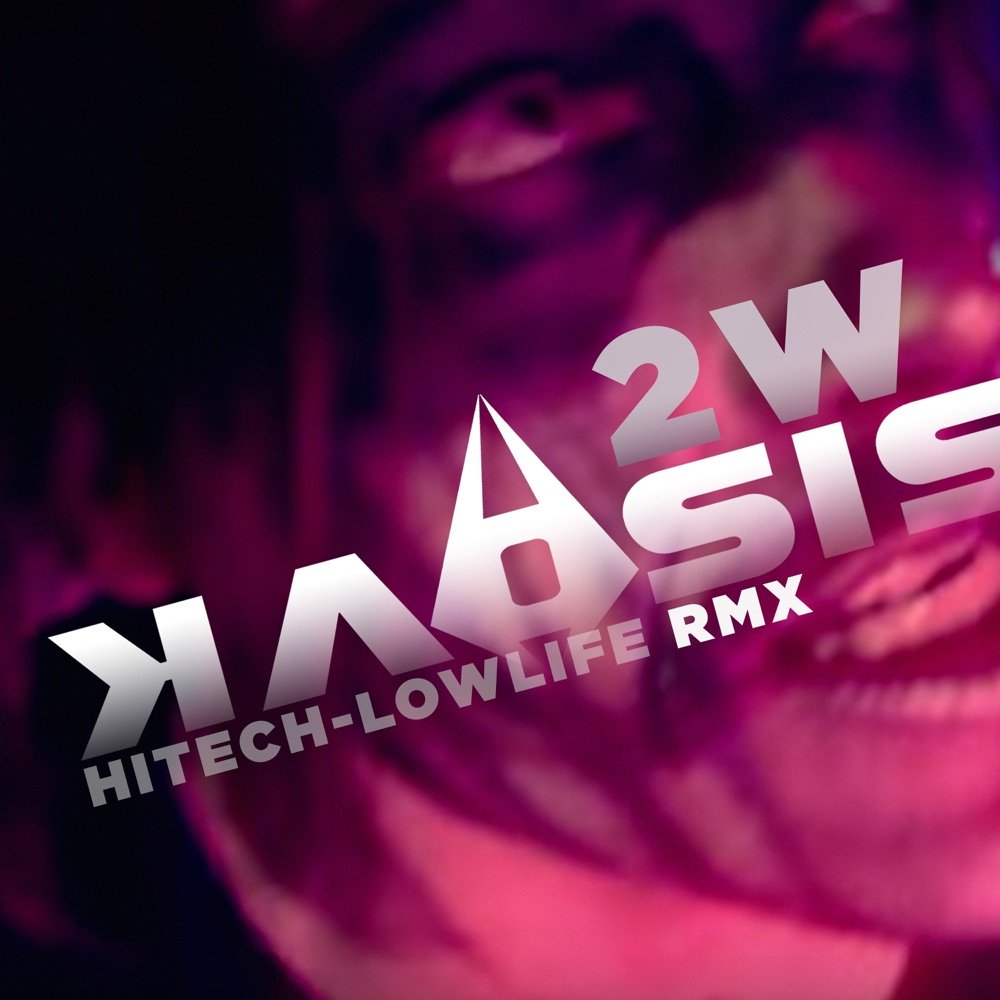Hitech-Lowlife (2W RMX)