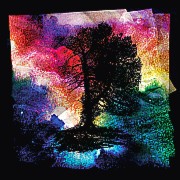 Broken Seasons