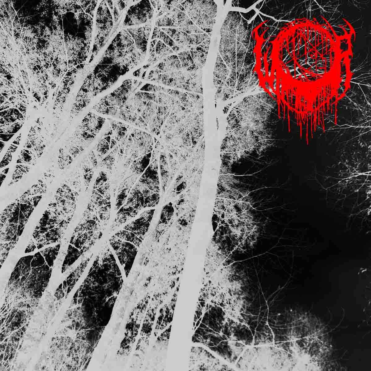 Between Abyssal Dimensions