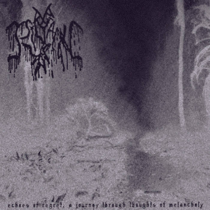 Echoes of Regret a Journey Through Thoughts of Melancholy