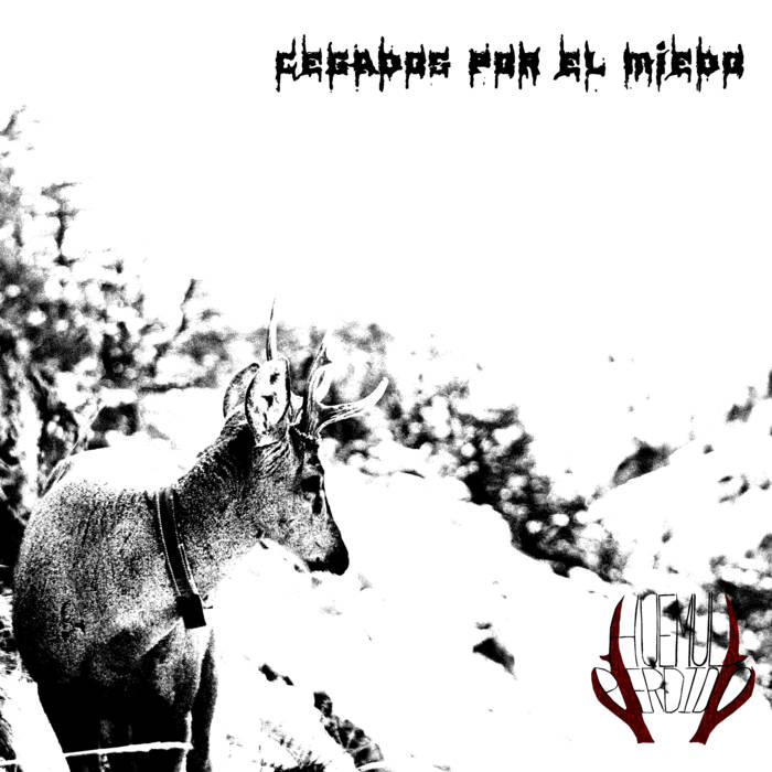 Ciego y perdido