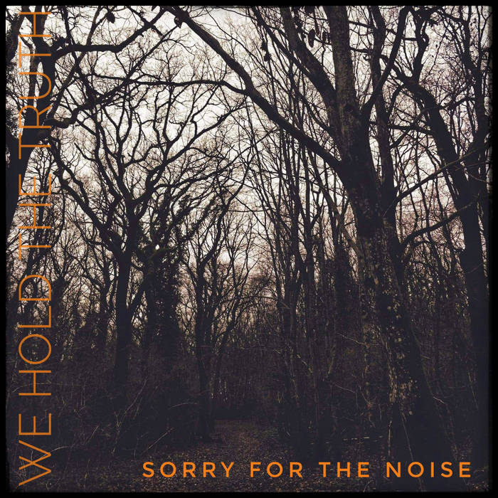 Sorry for the Noise
