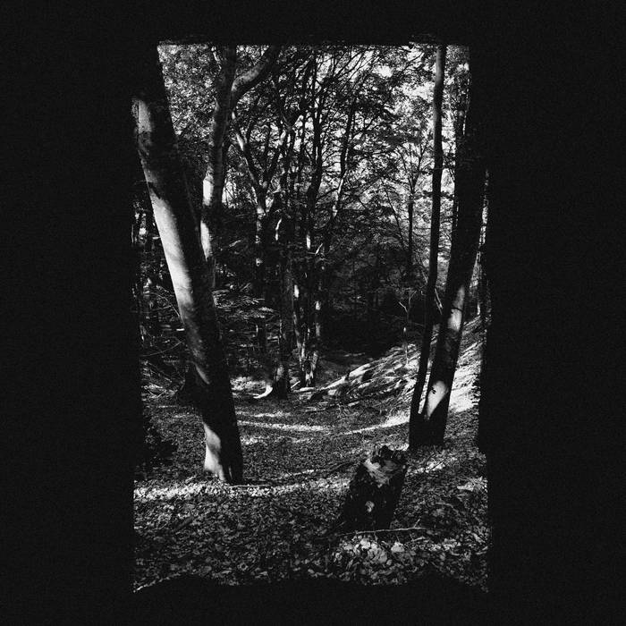 Instrumental Demo