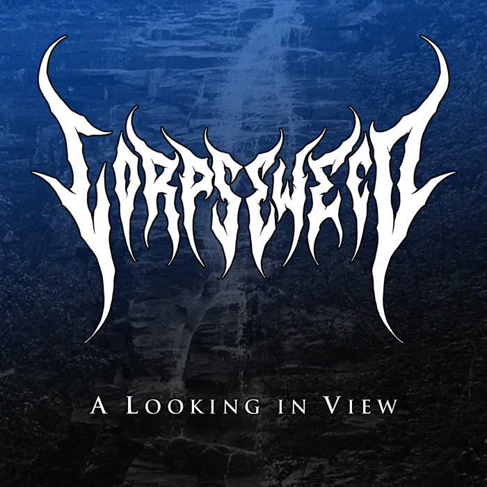 A Looking in View