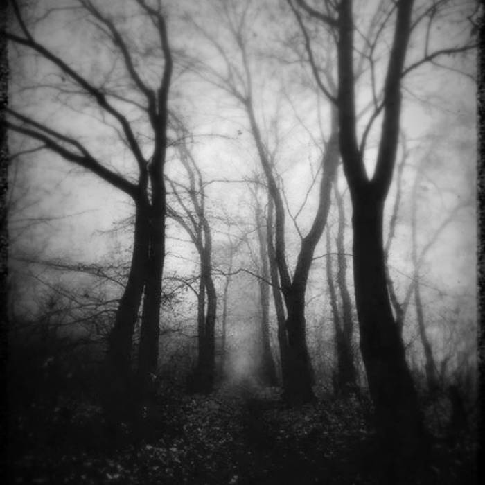 The Forest of Tihom