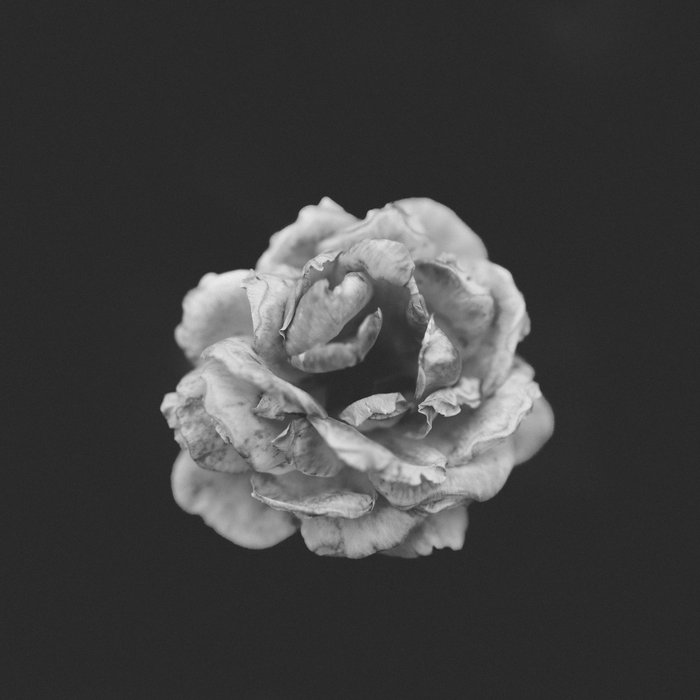 The Blackest Day