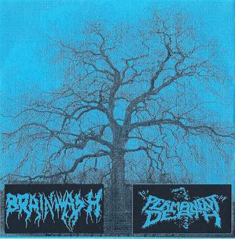 Brainwash / Permanent Death