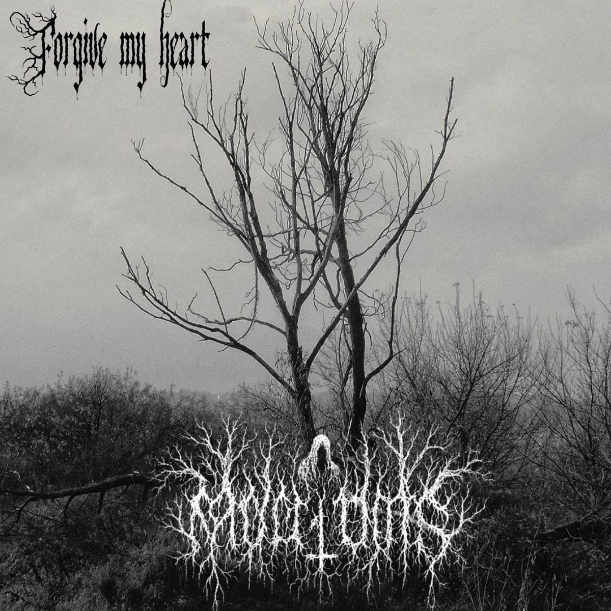 Forgive My Heart