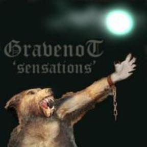 Sensations