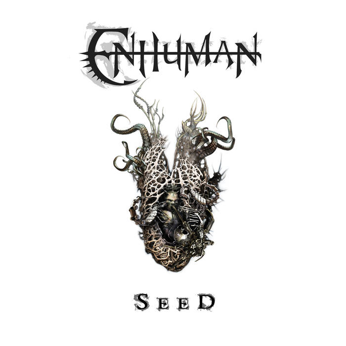 Seed