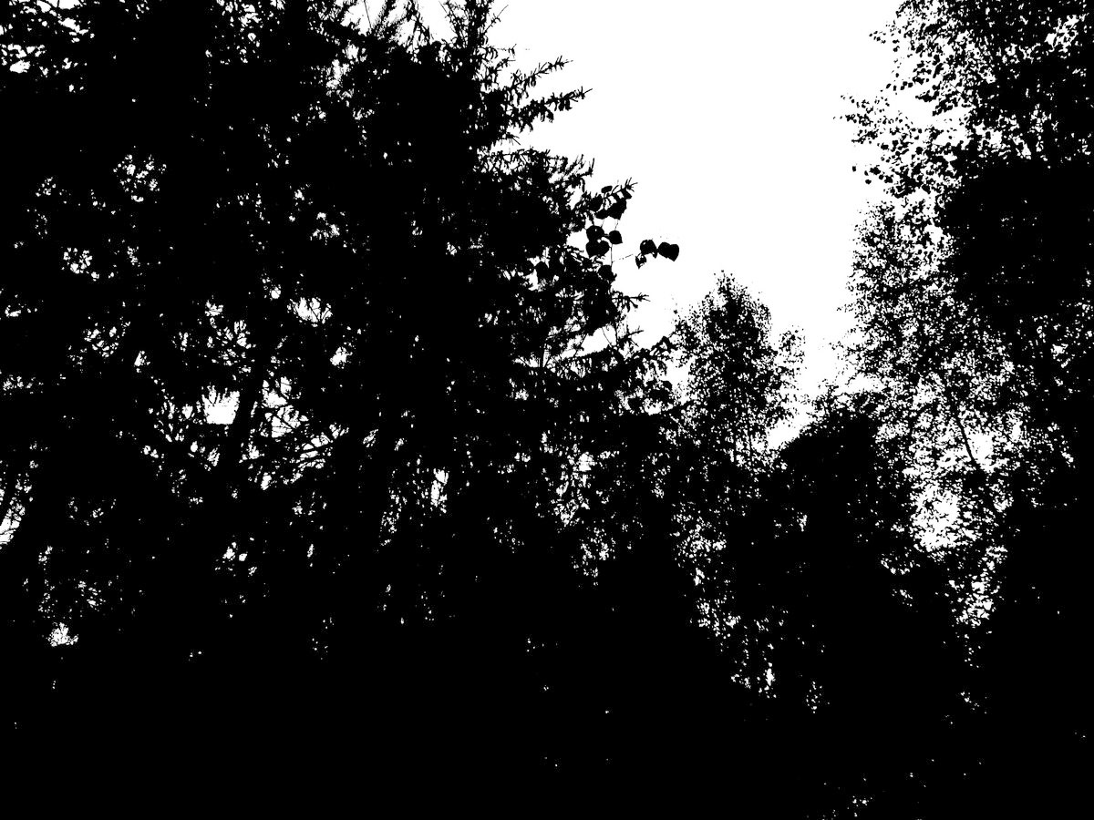 Tuhoa & tuskaa