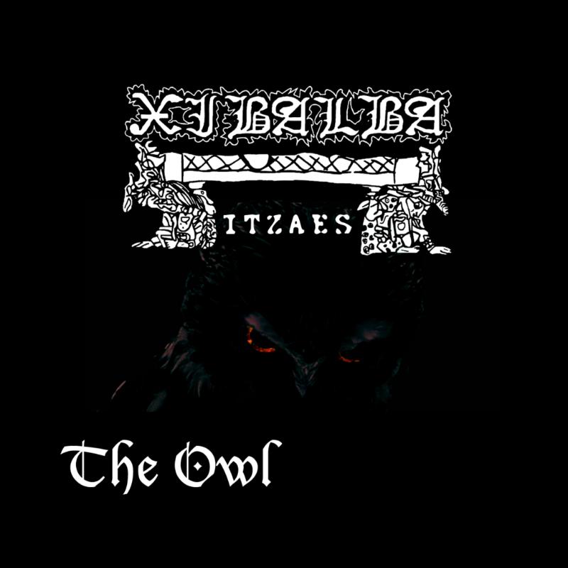 The Owl
