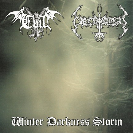 Winter Darkness Storm