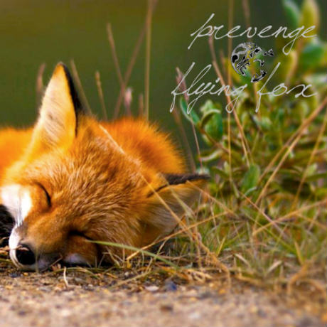 Flying Fox