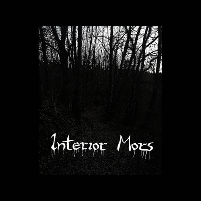 Something Runs in the Woods