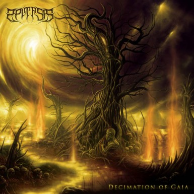 Decimation of Gaia