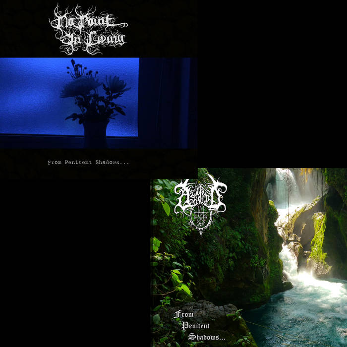 From Penitent Shadows...